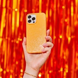 Used iPhone 13 Pro Max phone case by Casely